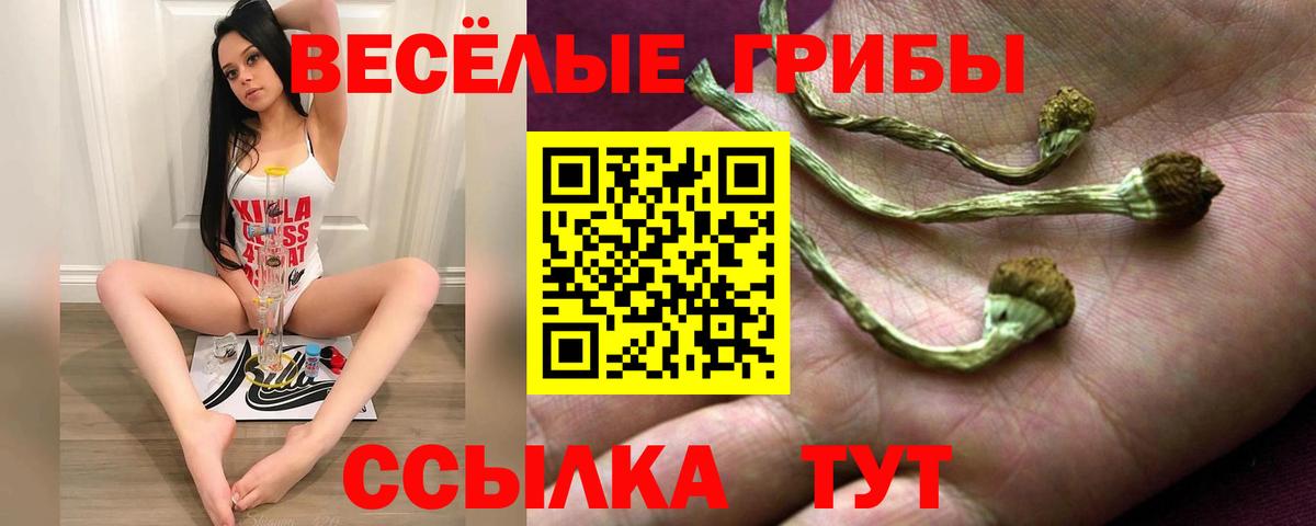 Псилоцибиновые грибы мухоморы  купить  сайты  Вход с VPN  Чебаркуль  Псилоцибиновые грибы прущие грибы 