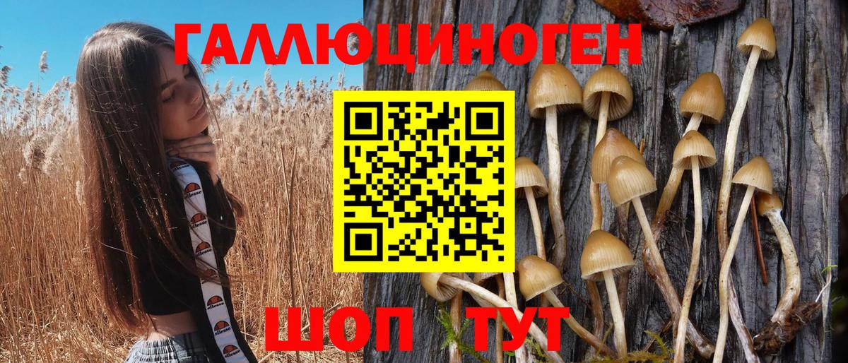 Галлюциногенные грибы GOLDEN TEACHER Чебаркуль